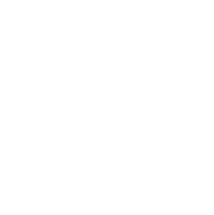 logo seliccorp